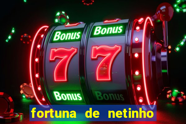 fortuna de netinho de paula